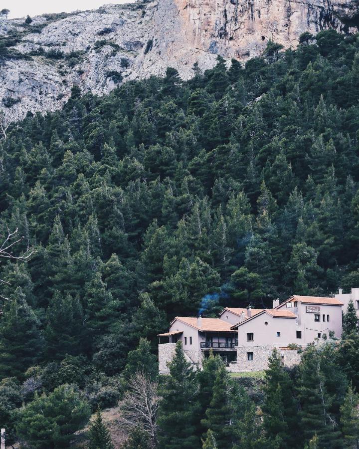 Guesthouse Vasiliki Steni Dhirfios Exterior photo